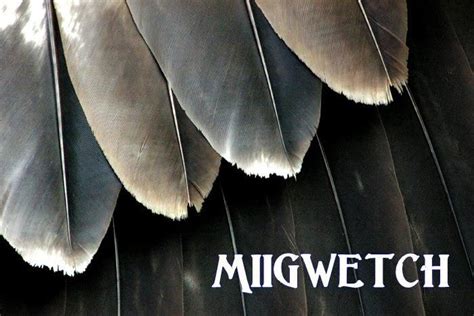 Eagle Feather Meaning Ojibwe
