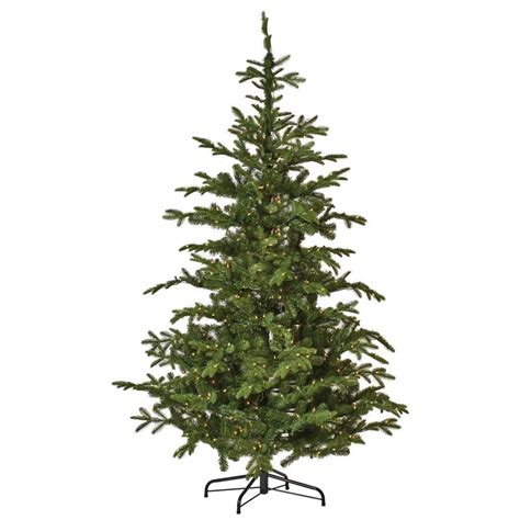 There are about 40 species of spruce trees worldwide, with several including the colorado spruce and the norway spruce being the most common. 7.5 ft. Indoor Pre-Lit Norwegian Spruce Hinged Artificial ...