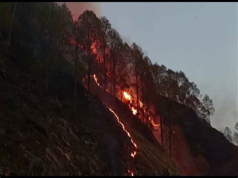 Uttarakhand Forest Fires Around 200 Ha Of Land Gutted In 117 Fresh