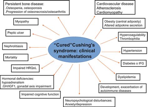 Long Term Effects Of Prior Cushings Syndrome Springerlink