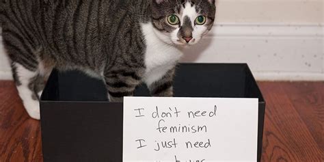 A person who believes in feminism, and tries to achieve change that helps women to get equal…. Catfight at the Anti-Feminist Corral: Felines Join the ...