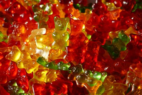 Image doux-6 : Images Gratuites : doux, fleur, p�tale, verre, ours ...