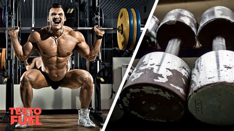 Weight Training To Boost Testosterone Top 5 Tips Testofuel Blog