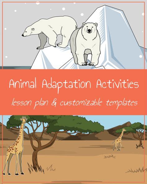 Animal Adaptation Animal Adaptations Activities Adaptations