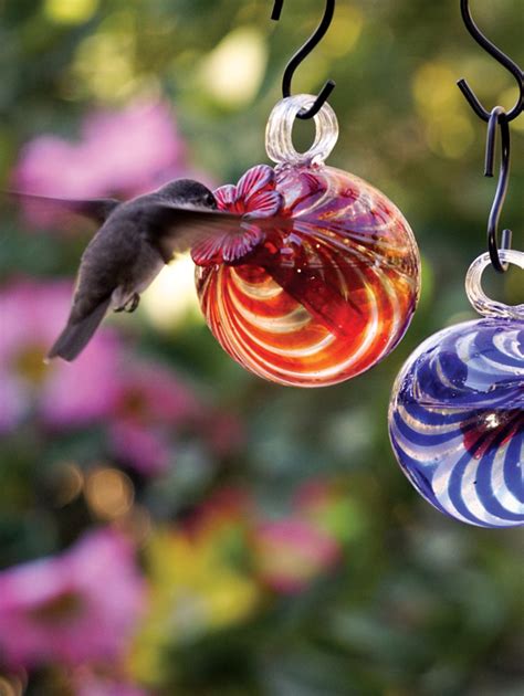 Pin By Sue Murad On A Home Of My Own Humming Bird Feeders Glass Hummingbird Feeders Glass