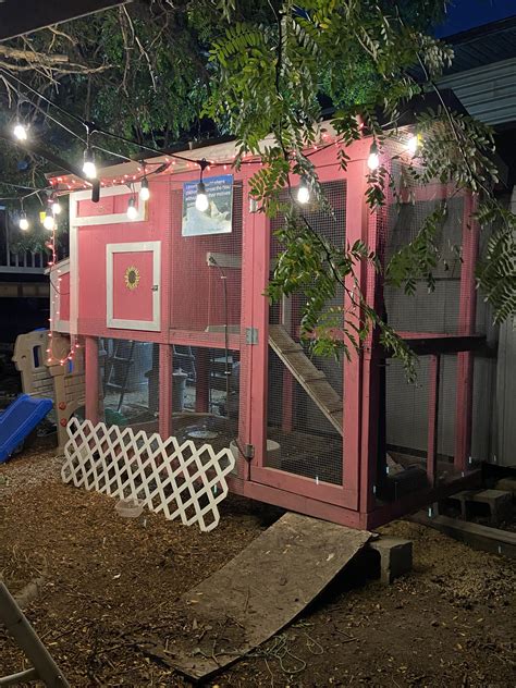 a pink chicken coop sitting under a tree with lights hanging from it's roof