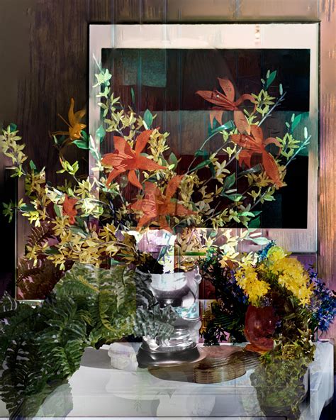 Matthew Cronin Dwelling 11 Contemporary Color Photography Flowers