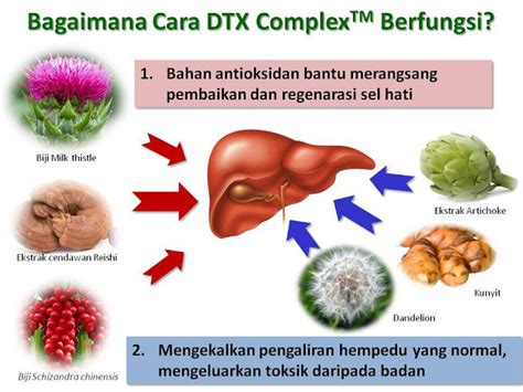 Tidur Lambat Punca Utama Kerosakan Hati