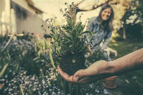 What Is Horticultural Therapy Connections Therapy Center