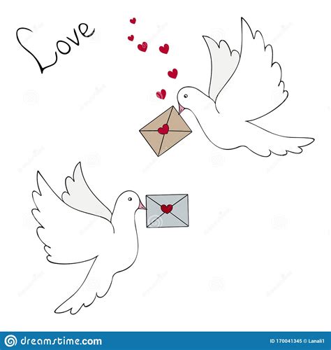 Dove Heavenly Couriers Two White Doves Carry Love Letters To The