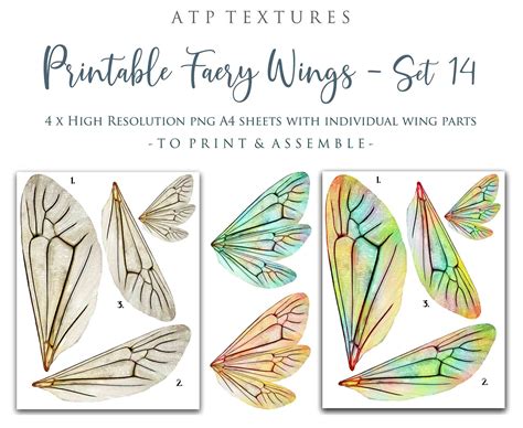 Printable Fairy Wings Set 14 Print Pattern Template Etsy
