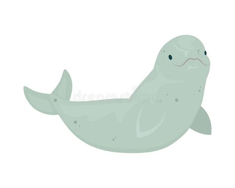Cute Beluga Whale Stock Illustrations 701 Cute Beluga Whale Stock