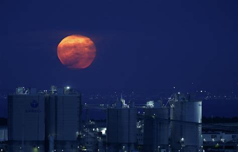 Full Moon Rises Above Tokyo Bay Photograph By Lisi Niesner Fine Art