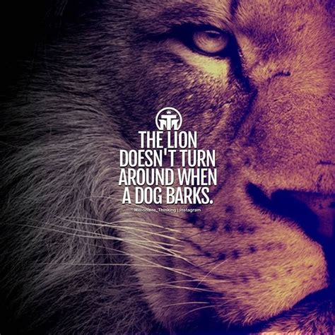 Pin By Gb On Quotesmotivationfitness Warrior Quotes Lion Quotes