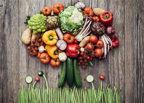 Why A Plant Based Diet Cant Maintain Health Healthy Home Economist