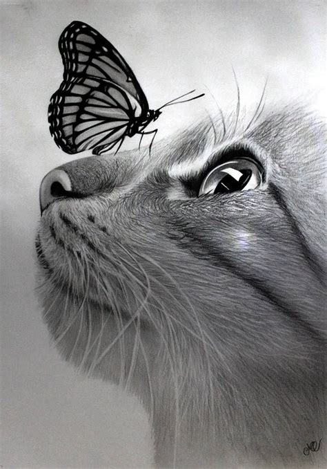 Cute Animals To Draw Realistic