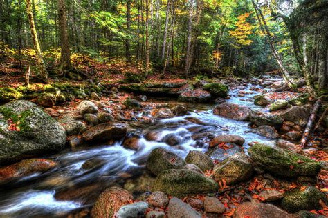 Autumn Stream Photograph By Chris Polacco Fine Art America