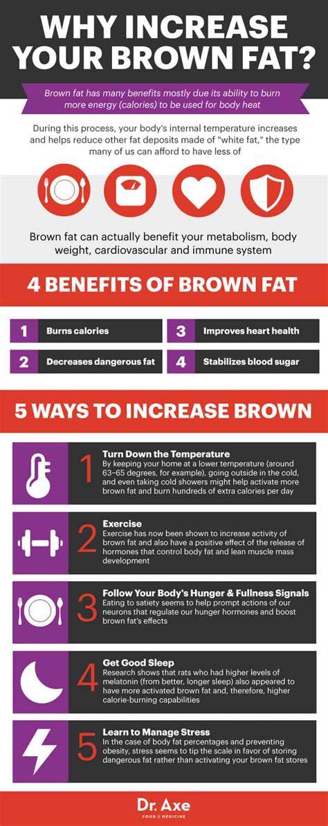Brown Fat Benefits And How To Increase Dr Axe