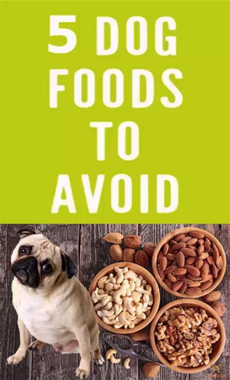 So… we combined the top picks from our own editors… with those of the many pet food designers, nutritionists and veterinarians we've interviewed since launching the dog food advisor… back in 2008. 5 of the worst dog food you should avoid in 2020 in 2020 ...