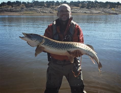 We did not find results for: International Fishing News: IGFA: world records ...