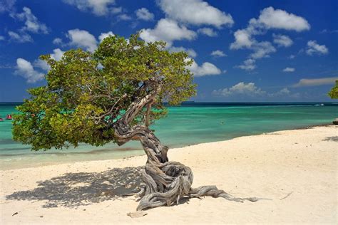 18 best beaches in the caribbean planetware