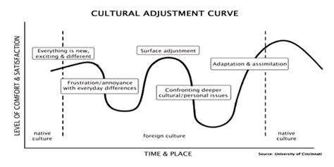 Cultural Adjustment · Study Abroad · Lafayette College