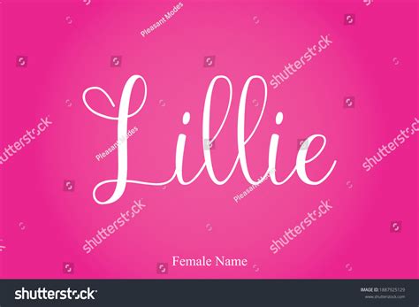 Lillie Female Name Cursive Calligraphy Text Stock Vector Royalty Free