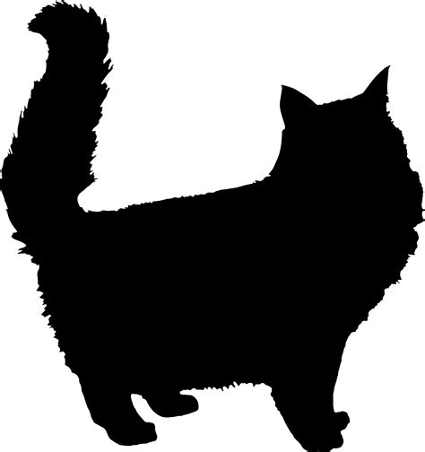 Kitty Clipart Cat Silhouette Kitty Cat Silhouette Transparent Free For