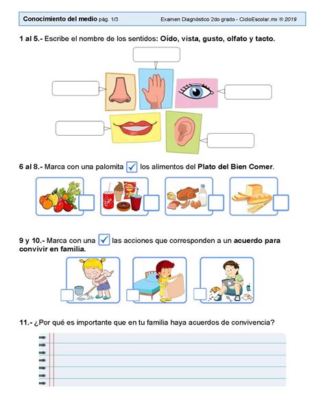 Examen DiagnÓstico Segundo Grado 2019 2020página08 Imagenes Educativas