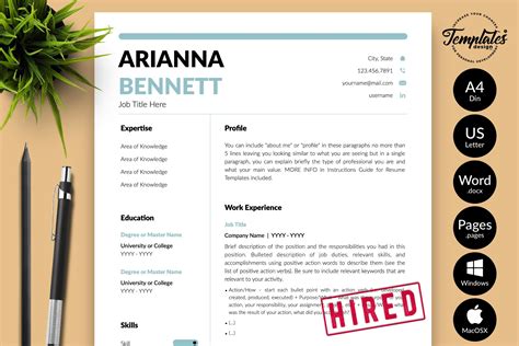 Best Simple Resume Template For Word And Pages Basic And Clean Resume