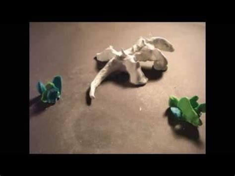 What does claymation actually mean? Evolution - An Animated Short Film Claymation (HD ...