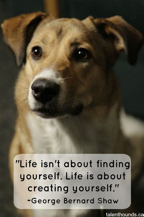 The Most Inspirational Quotes Of The Year Dog Quotes