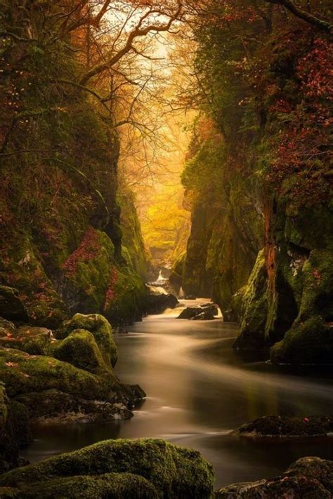 Fairy Glen Old Colwyn North Wales Photo By Craig Mccormick Nature
