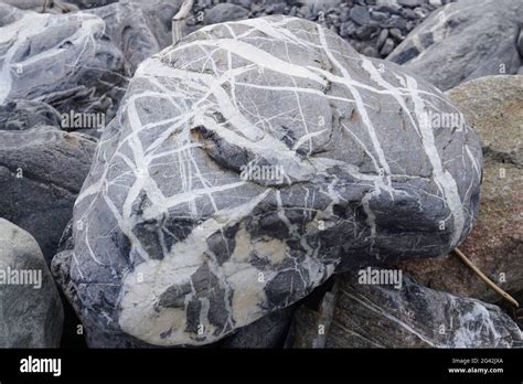 Closeup Of A Grey Rock With White Stripes By The River Stock Photo Alamy