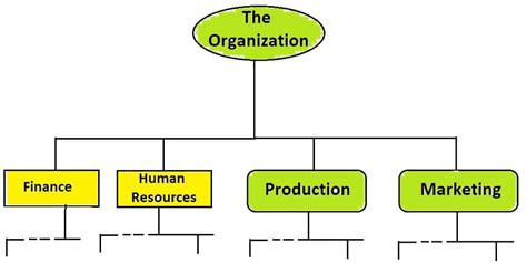 What Are The Organization Processes Things You Should Know Today