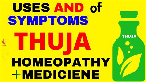 Thuja Occidentalis Homeopathic Medicine Thuja 30 Thuja 200 Thuja 1m