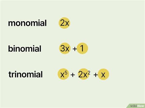 How To Classify Polynomials By Terms And Degree 2 Easy Ways