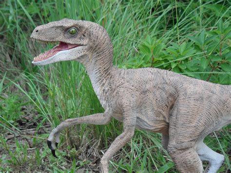 Jurassic Park Velociraptor By Yankeetrex On Deviantart