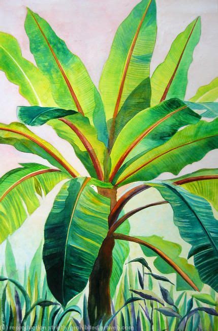 54 Best Banana Trees Paintings Images Banana Tree Tropical Painting