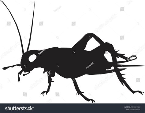 Cricket Insect Clipart Vector Illustration Stok Vektör Telifsiz