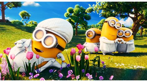 🔥 Free Download Funny Minions Hd Wallpapers 300x250 Funny Minions