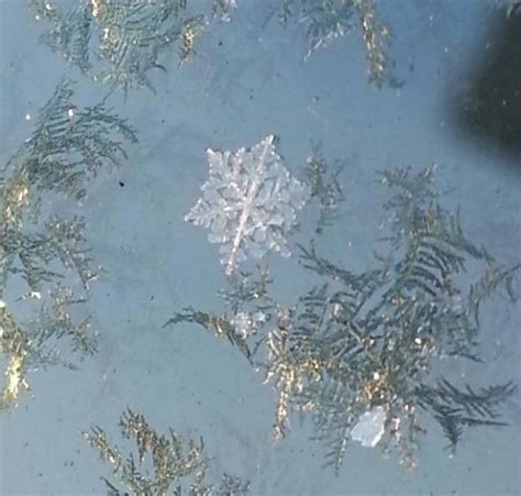 How Do Snowflakes Get Their Shape Earth Earthsky