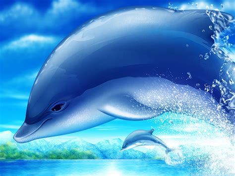 Dolphin Wallpapers 69 Images