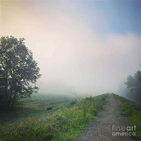 Foggy Morning I Photograph By Hd Connelly Fine Art America