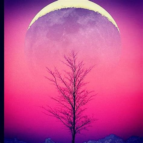Moon Sunset Sunrise Purple Pink Followme Pretty Tr Flickr