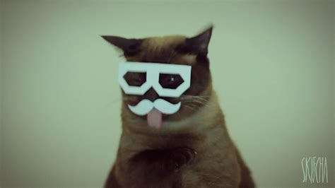 Dubstep Hipster Cat Rvideos