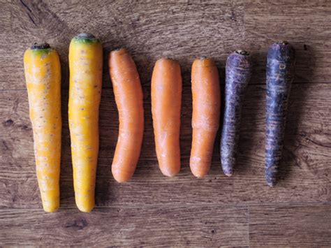 Various Colors Of Carrots You Should Know