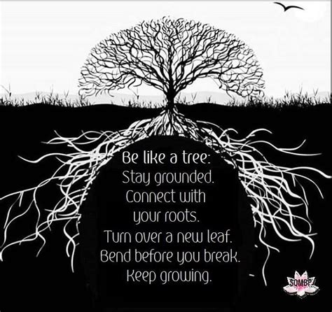 Be Like A Tree Stay Grounded Connect With Your Roots Turn Over A New