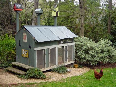 Chicken Coops For Backyard Flocks Hgtv