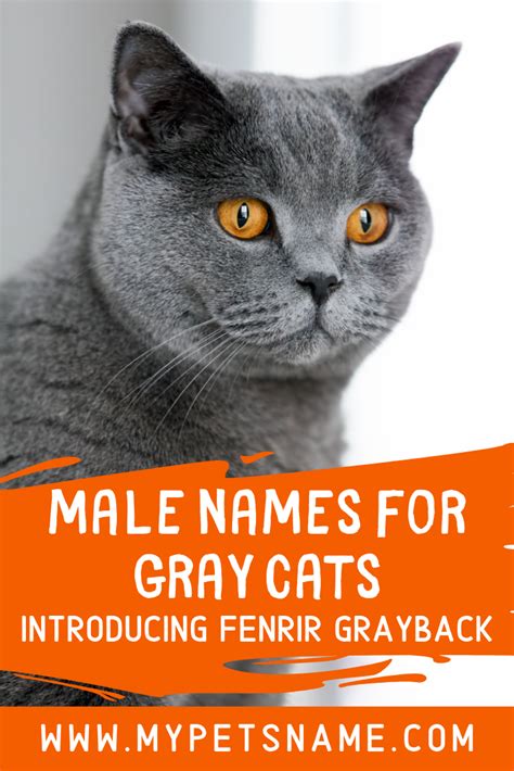 There Are Many Famous Male ‘grays To Provide Inspiration For Male